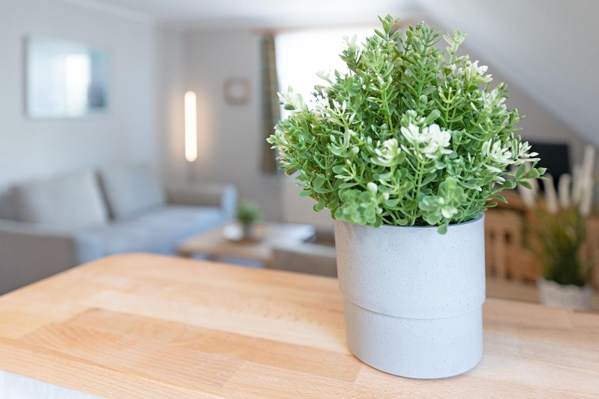 Apartament Fahrenkrug Nordlicht Scharbeutz Zewnętrze zdjęcie